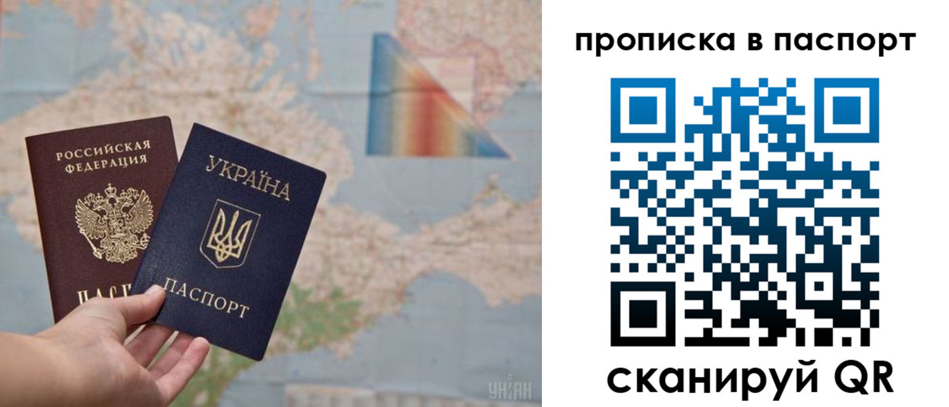 где прописаться в Фрязино